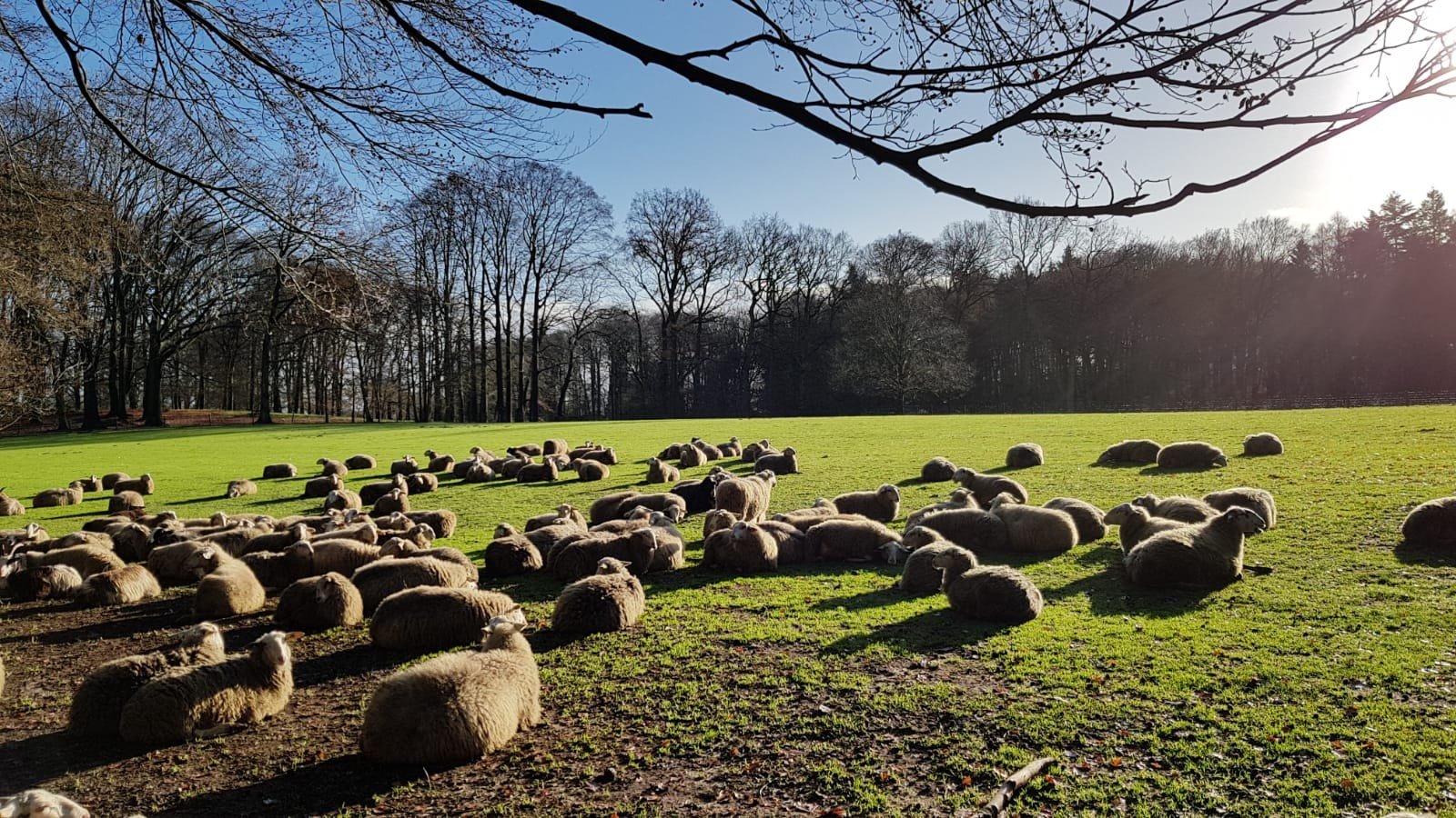 Wordt jij onze nieuwe collega?