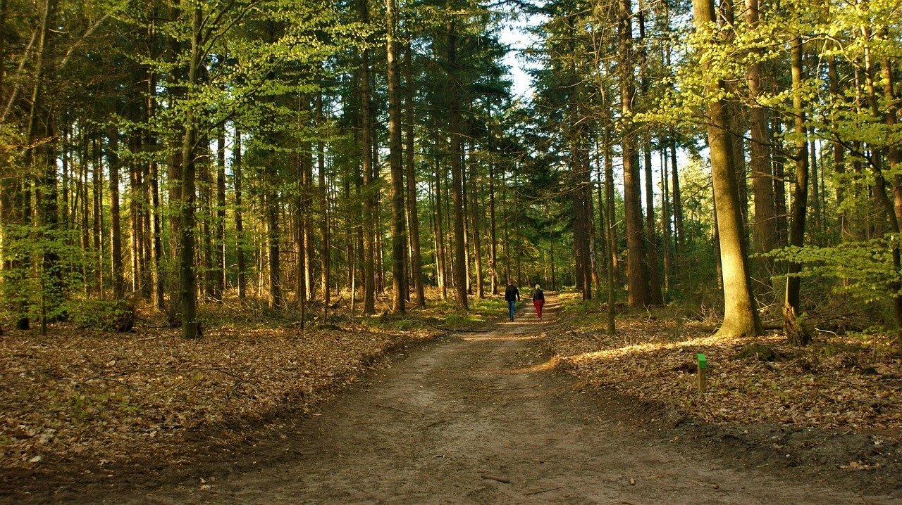 Bezoekerscentrum Grebbelinie