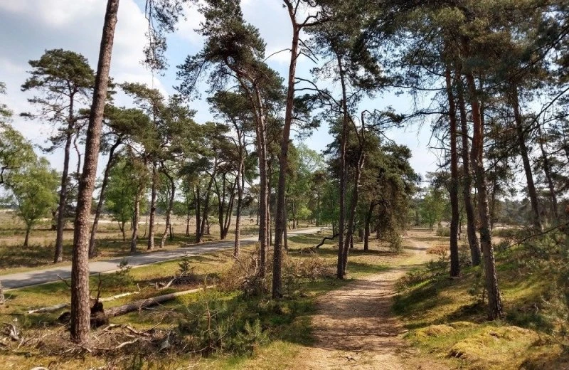 Veluwe
