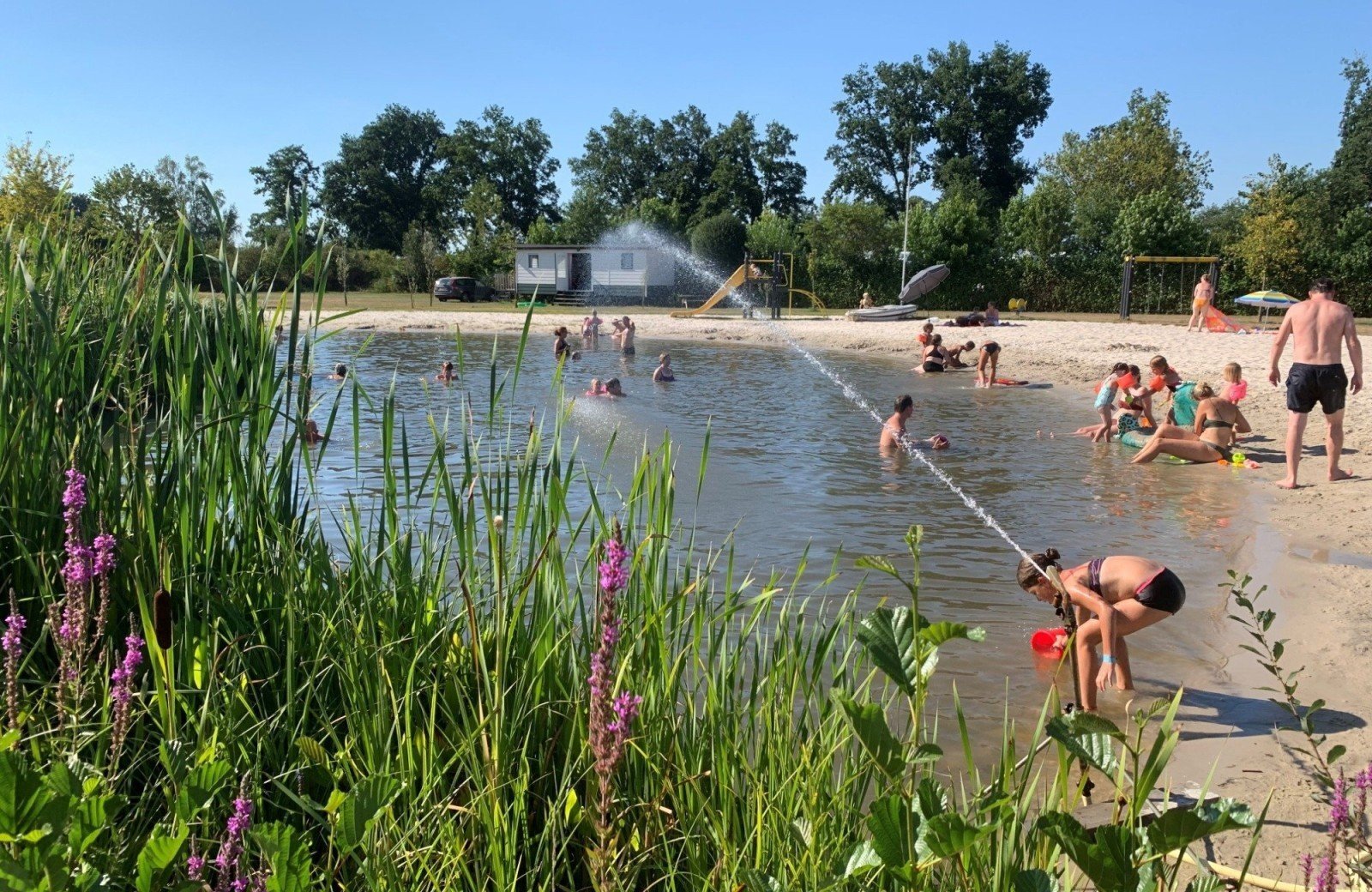 Zwemvijver lekker weer 1